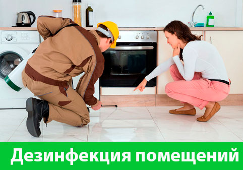 Дезинфекция офисов от коронавируса в городе Орск