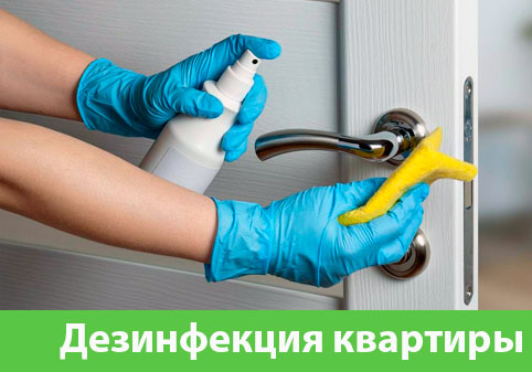 Дезинфекция квартиры в городе Орск