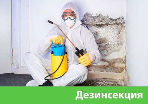 Дезинсекция в городе Орск