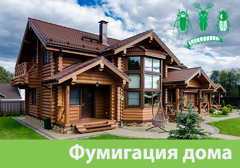 Преимущества обработки газом в городе Орск