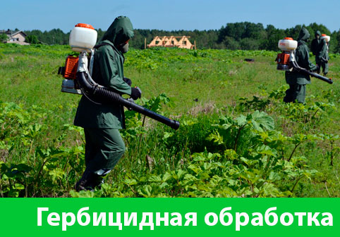 Гербицидная обработка в городе Орск