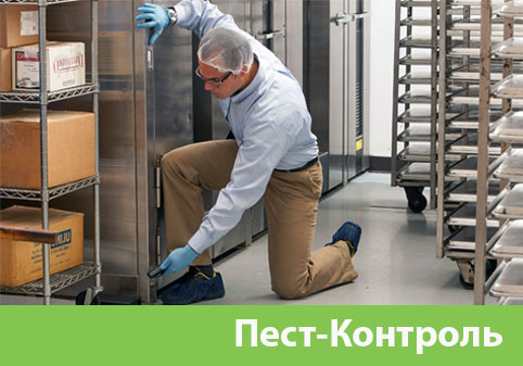 Пэст-Контроль в городе Орск