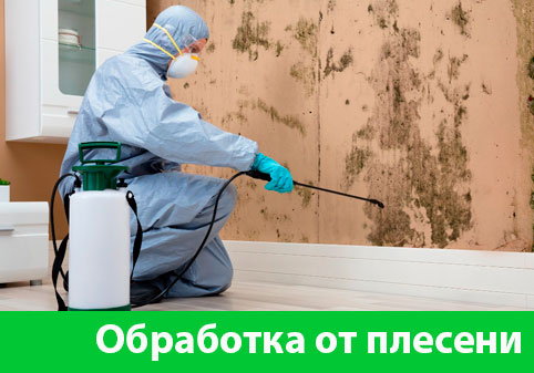 Обработка от плесени в городе Орск