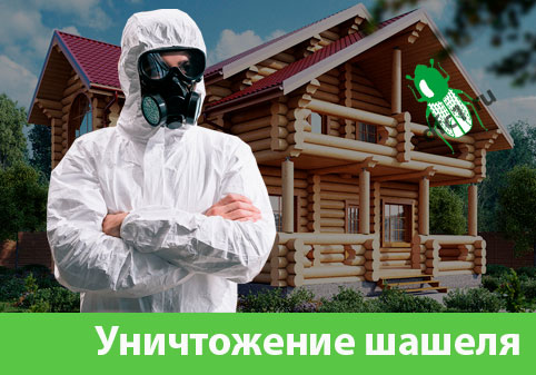 Уничтожение шашеля и личинок в Орске
