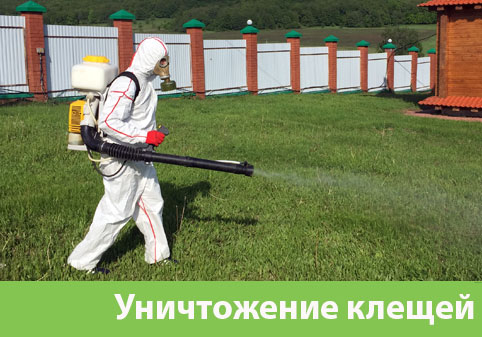 Уничтожение клещей в городе Орск