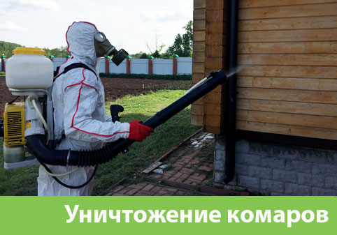 Уничтожение комаров в городе Орск